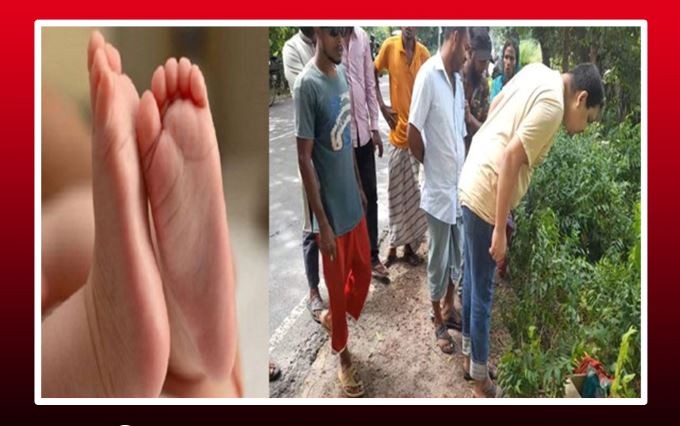 কার্টনের ভেতরে ২ নবজাতকের মরদেহ