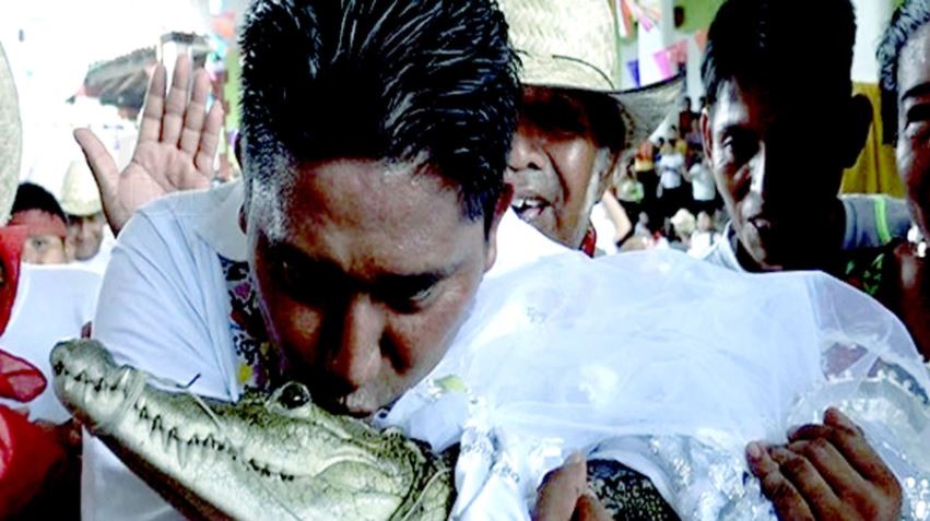নগরবাসীর সৌভাগ্যের উদ্দেশ্যে কুমিরকে বিয়ে করলেন মেয়র