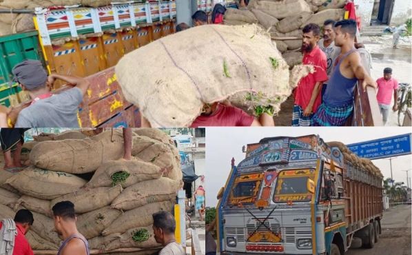 বেনাপোল দিয়ে এলো ৩৪ মেট্রিক টন ভারতীয় কাঁচা মরিচ