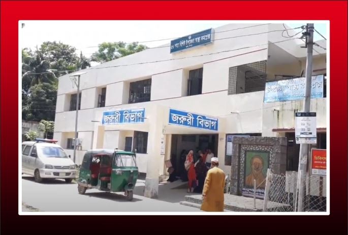 কচুয়ায় সাপের কামড়ে এক নারীর মৃত্যু